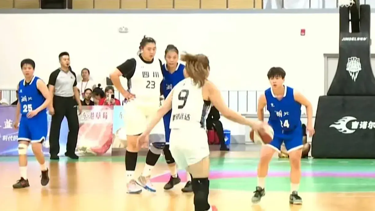 大揽